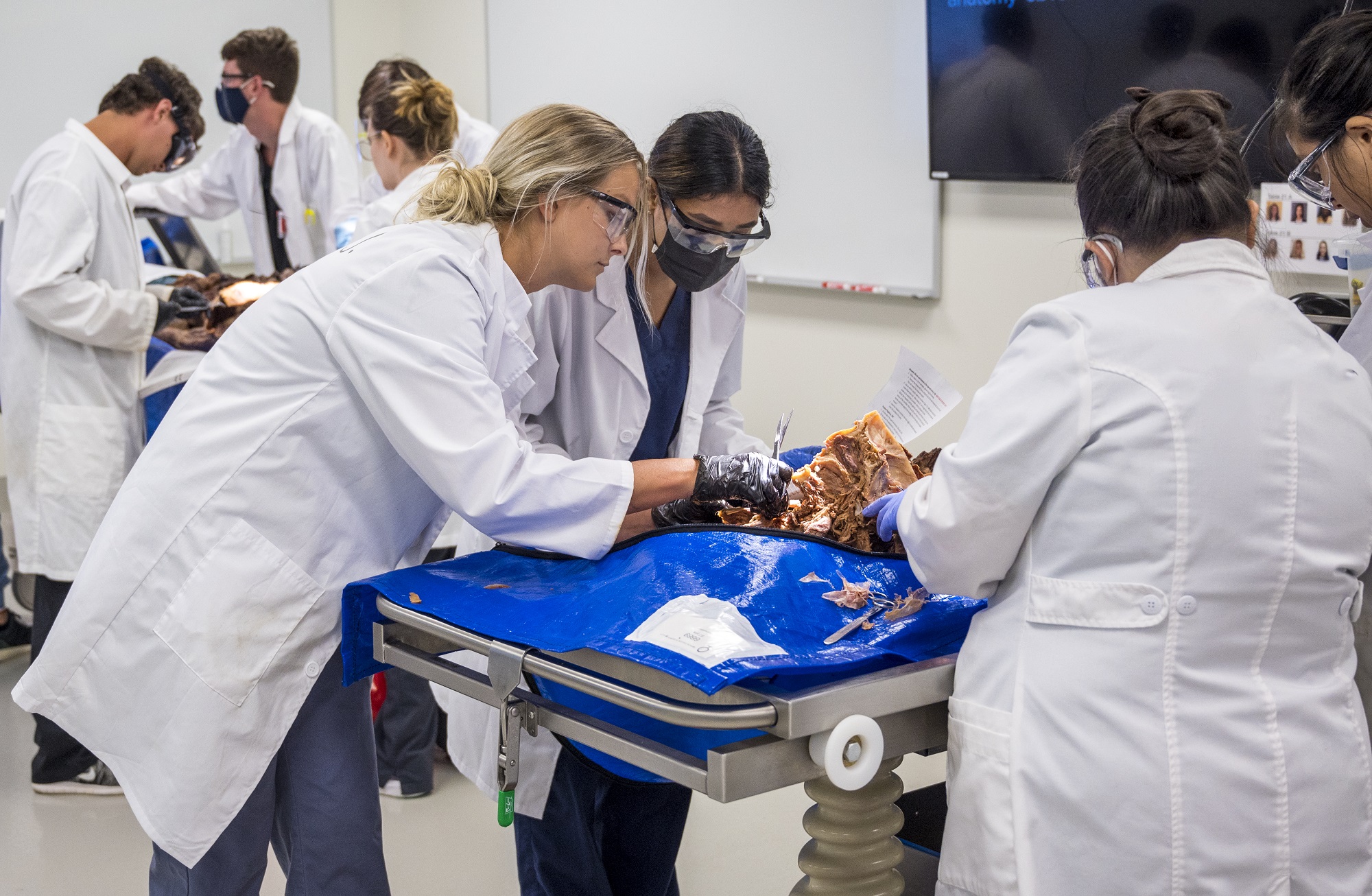 Picture of Anatomy lab