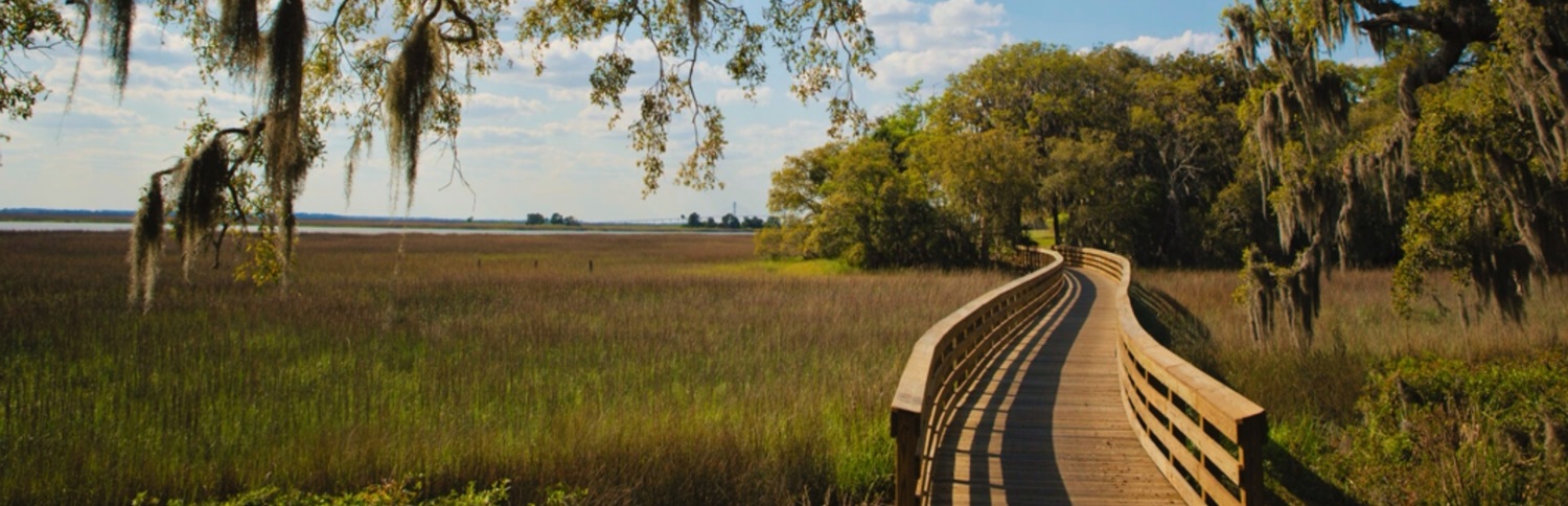 Jekyll island 
