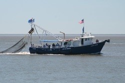 Shrimp Boat