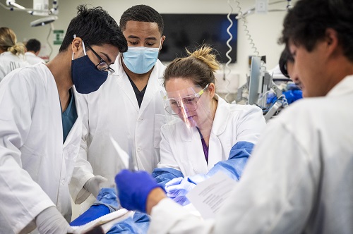 Students in Anatomy Lab