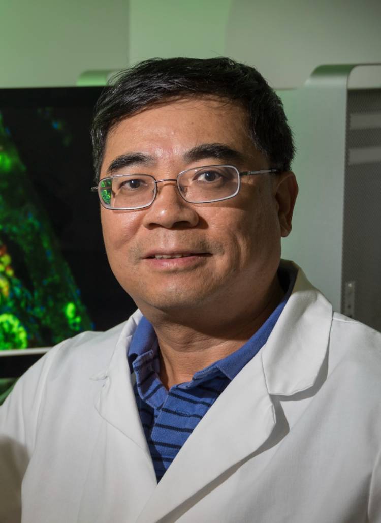 photo of Honglin Li, PhD