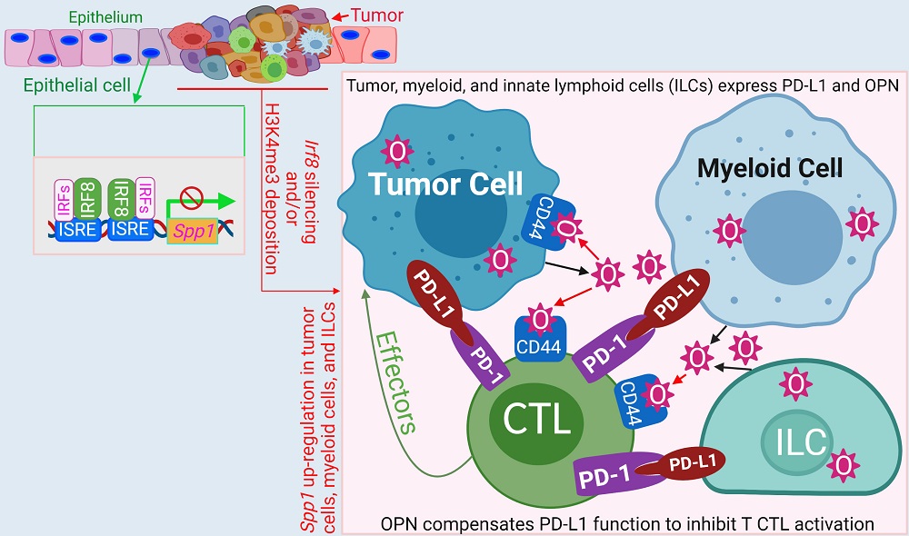 lab image summary