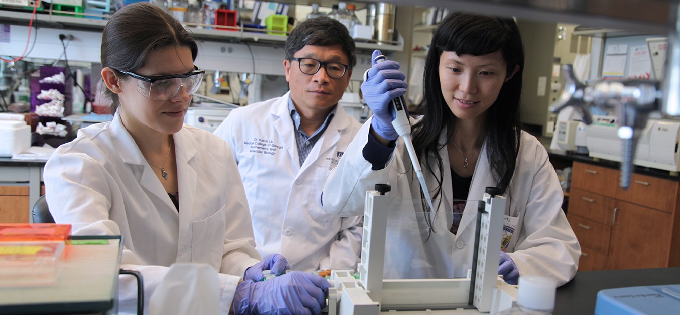 Photo of Drs. Kebin Liu, Iryna Lebedyeva and Chunwan Lu working in the lab 