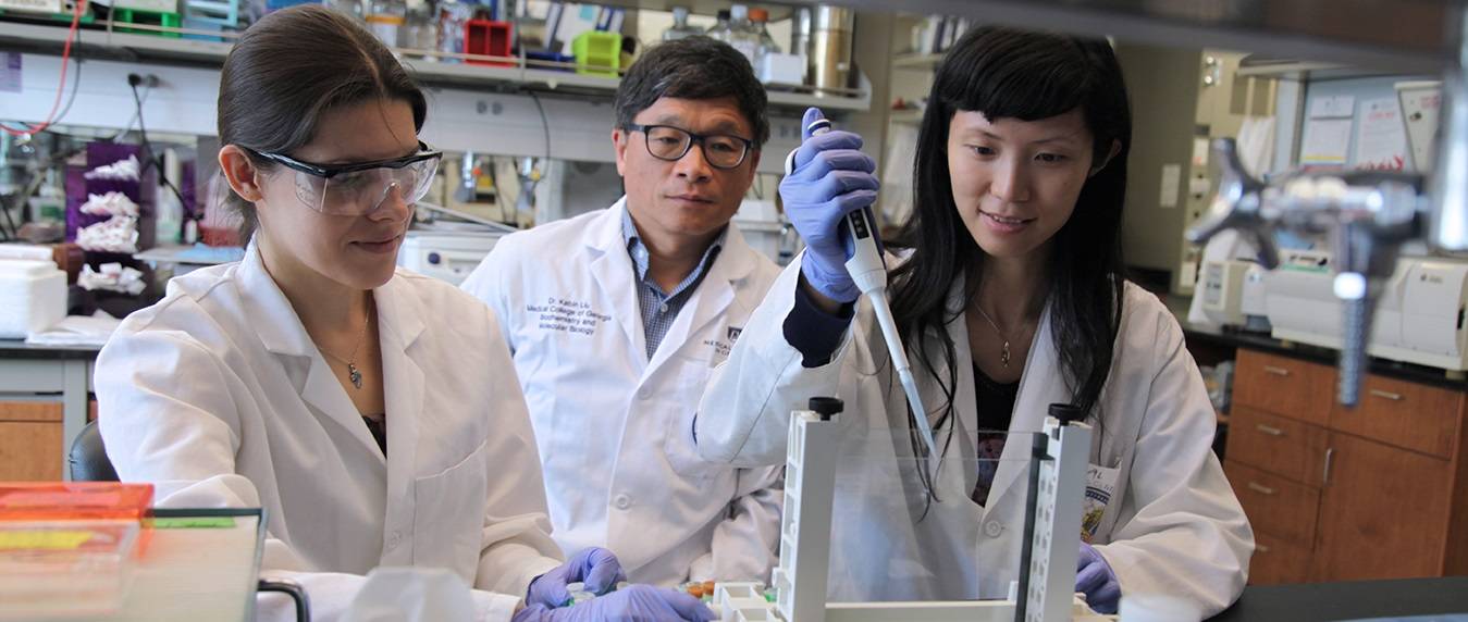 Photo of Drs. Kebin Liu, Iryna Lebedyeva and Chunwan Lu working in the lab 