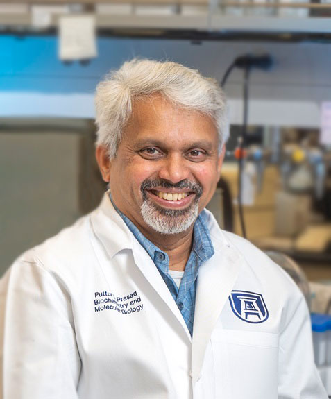 photo of Puttur Prasad, PhD