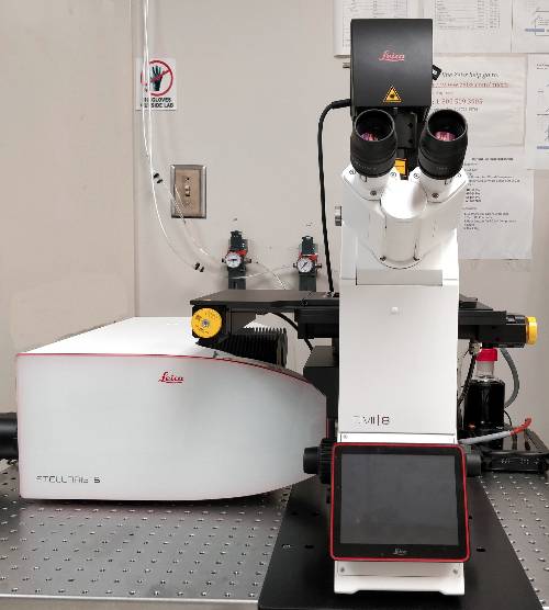 Leica Stellaris Confocal