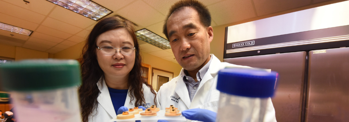 Drs. Hongfang Yu and Yutao Liu