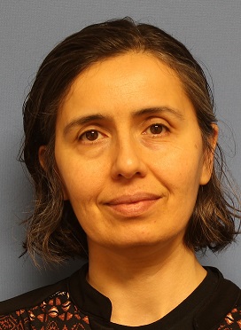 photo of Binnur Eroglu, PhD