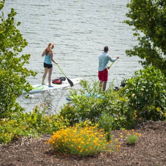 Students on the Savannaha River paddle boading