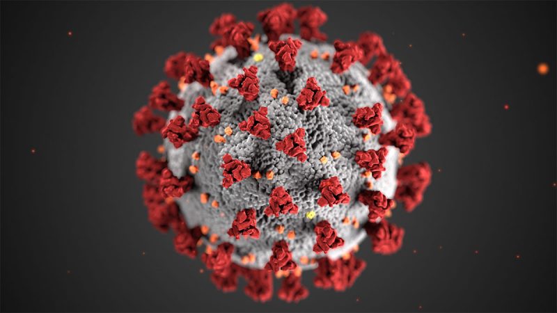 COVID19 Virus