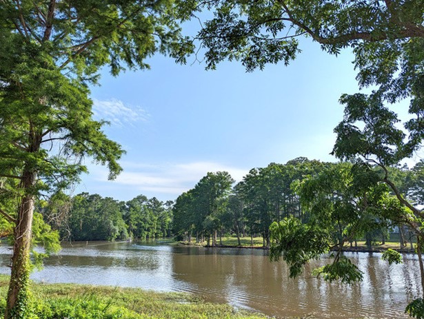 Marsh Landing Apartments