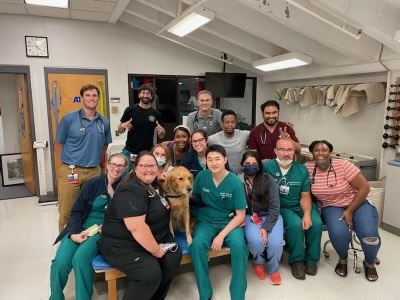 First year residents enjoy time with a therapy dog.