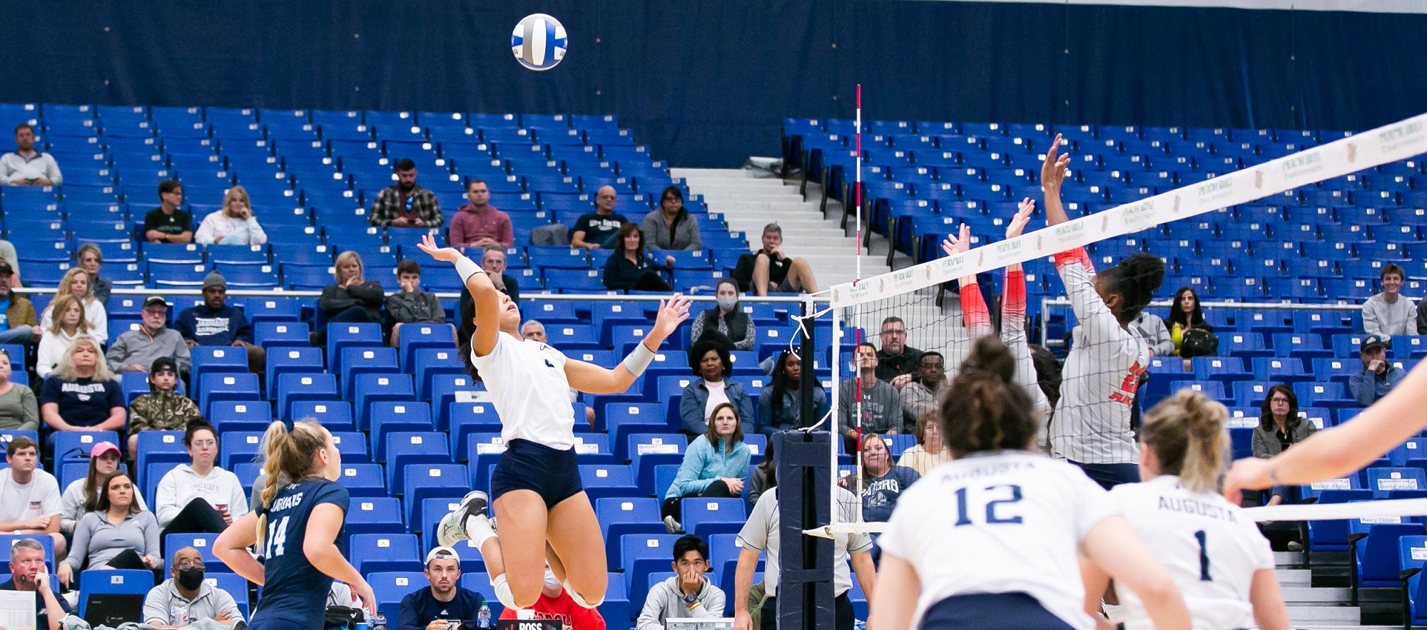 Women's volleyball promo