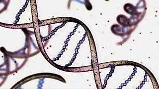 Sponsored Program Administration