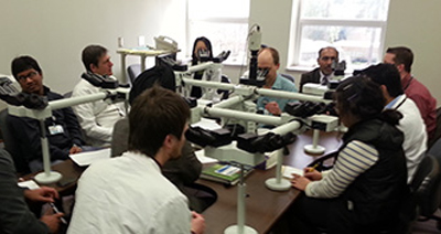 photograph of group reviewing biopsy results