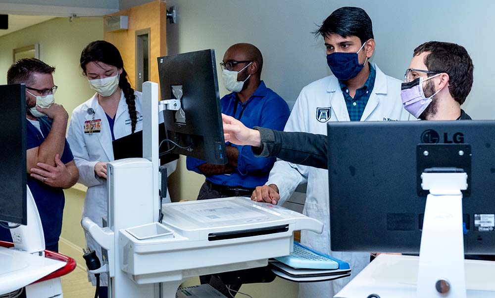 Neurology faculty looking at computer