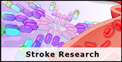 stroke research button