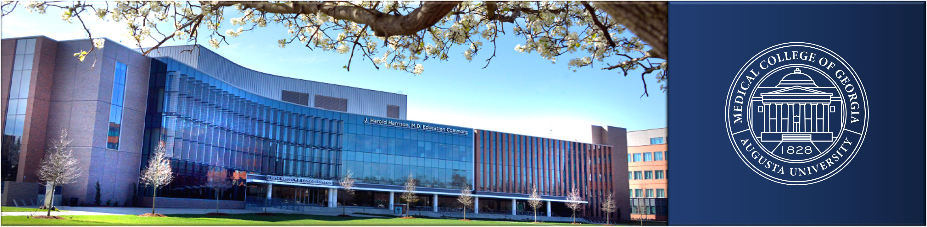 Neurology residency banner