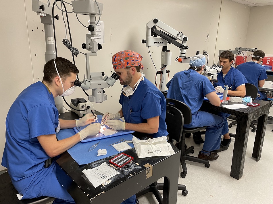 Neurosurgery Residents looking into microscopes