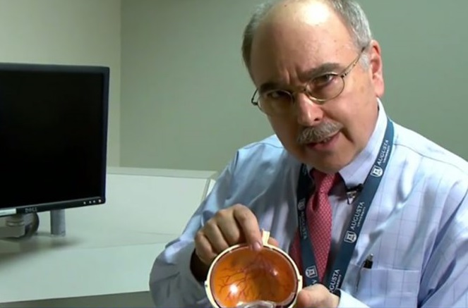 Dr. Bogorad
