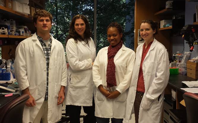 Dr. Sullivan's lab 