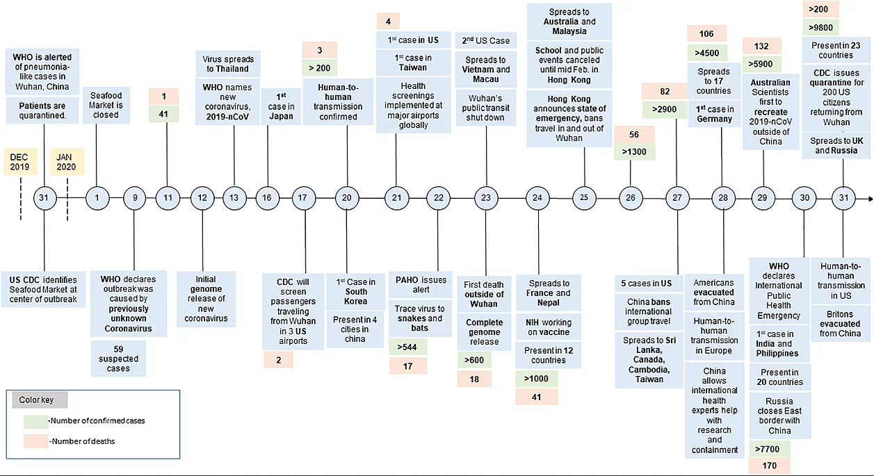 Timeline of Covid 19 from december 2019 to January 31st with number of confirmed cases and deaths