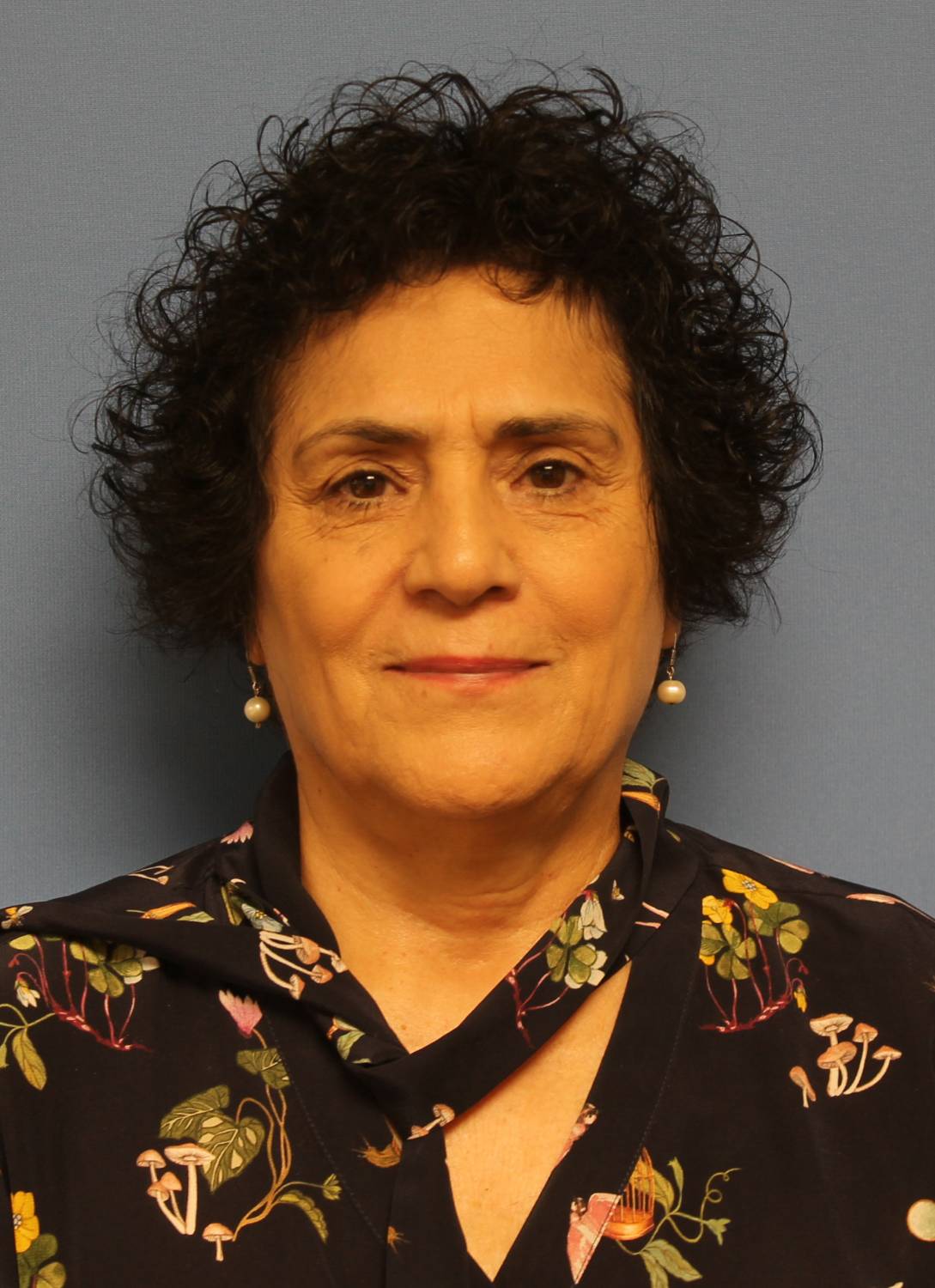 photo of Nahid Mivechi, PhD