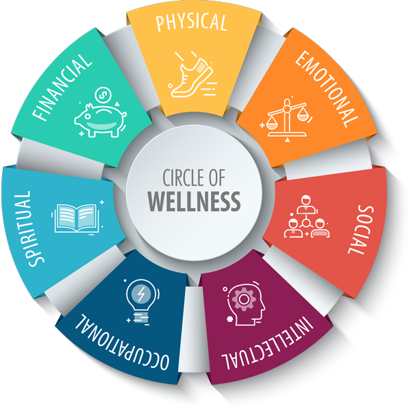 Circle of Wellness displays 7 components of wellness: Physical, emotional, social, intellectual, occupational, spiritual, and financial.