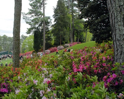 Flowers in Foreground of Masters Tournament