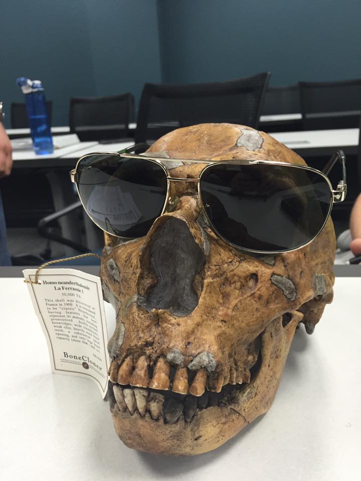 Skull with glasses