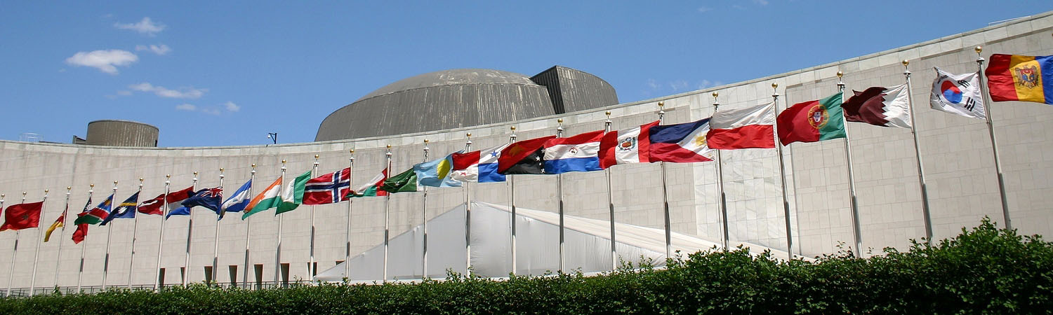 United Nations Flags