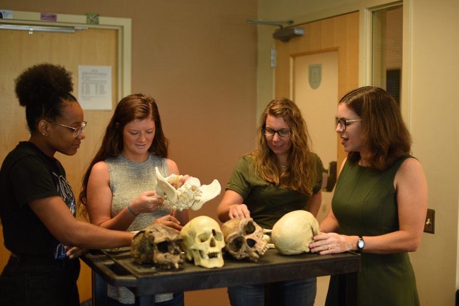 Students handling skulls