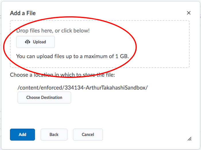 A D2L screen with Upload highlighted.