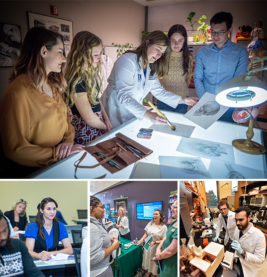 Collage of Workforce Development