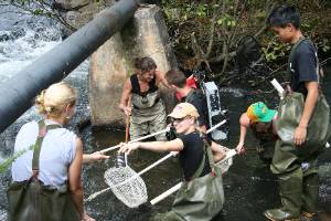 In the Creek