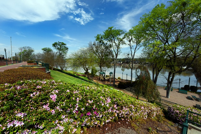 lake and greenery