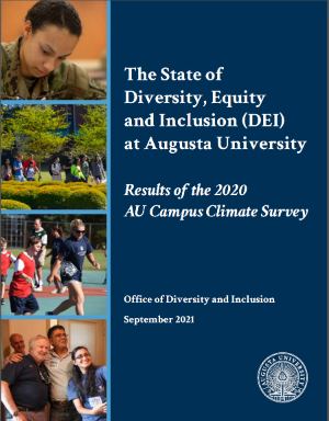 Report Cover