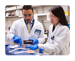 Medical Students Lab Work