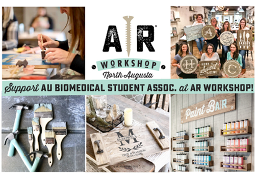 Support AU BSA at AR Workshop