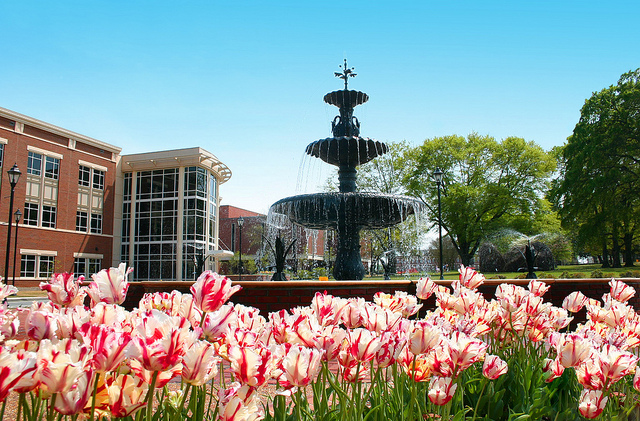 Summervile Campus Fountain