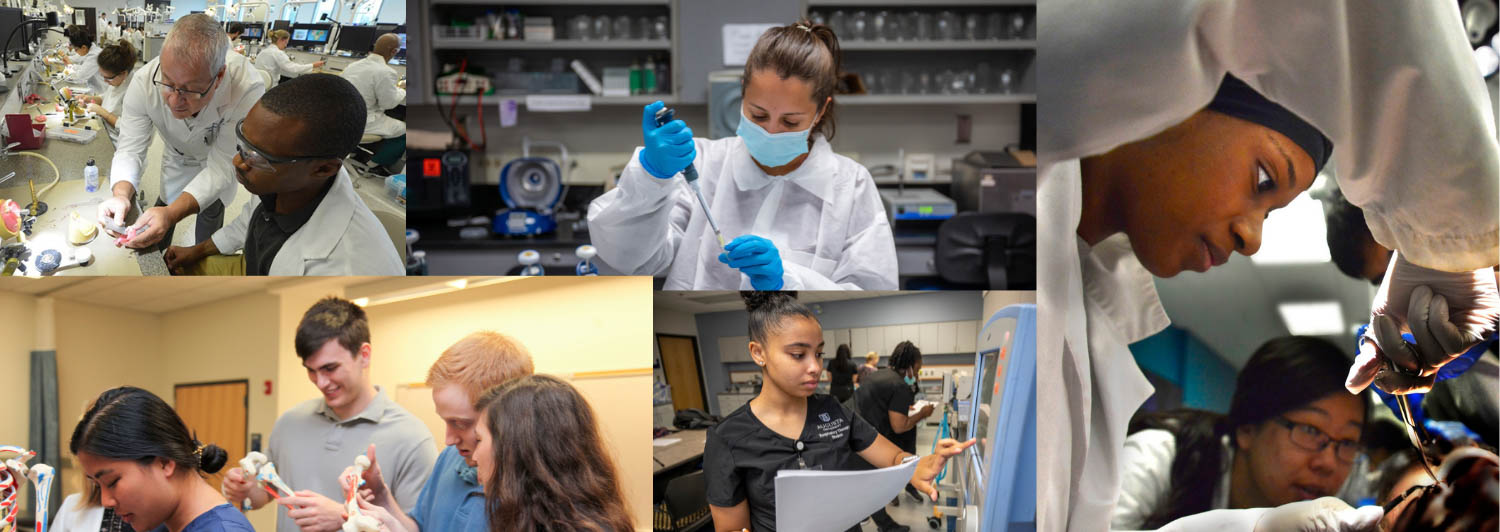 Collage of students learning in health care environments