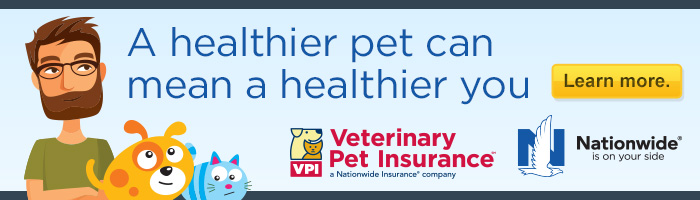 pet insurance banner