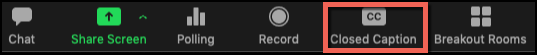 Click on the captions icon in the task bar.
