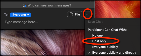 Edit Chat Options in Meeting Select the three dots (...) and select Host Only.