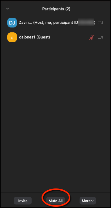 Mute All Participants Mute all participants