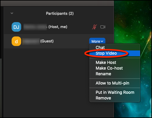 Stop Participant Video Selecting the More button for a particular participant and selecting Stop Video
