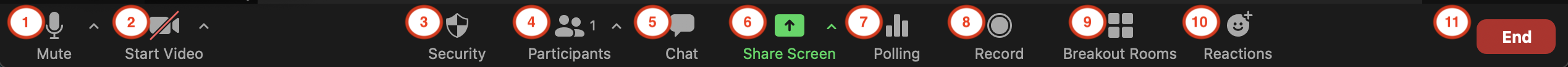 zoom tool bar