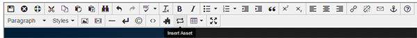 Insert Asset toolbar screenshot