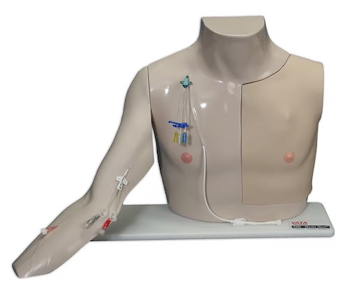 Vascular Trainer by Chester Chest