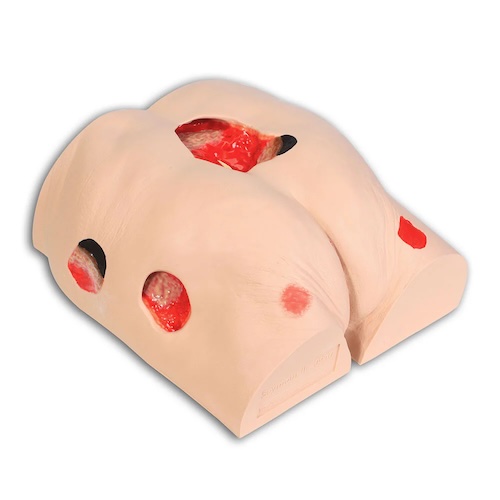 Wound Care Trainer by Seymour II Wound Care Model